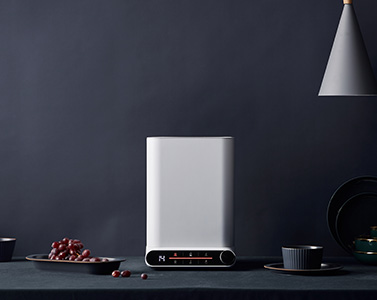 STY05A果蔬凈化清洗機