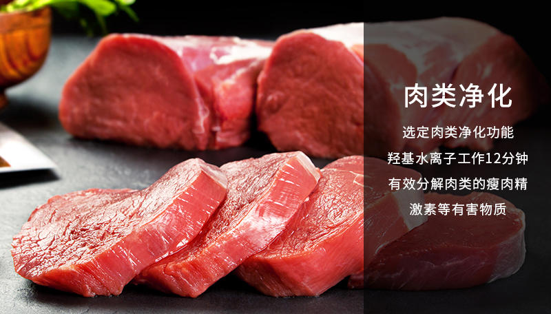 肉類凈化