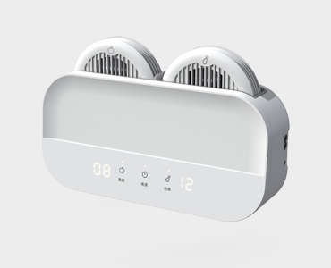 雙凈果蔬清洗凈化機(jī)