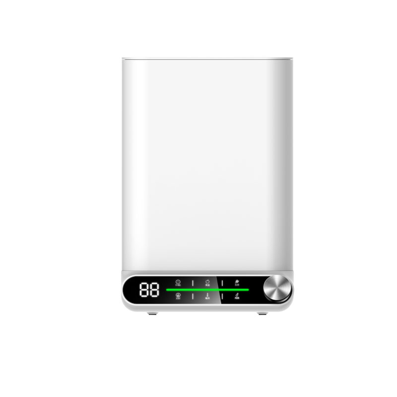 STY05A果蔬凈化清洗機