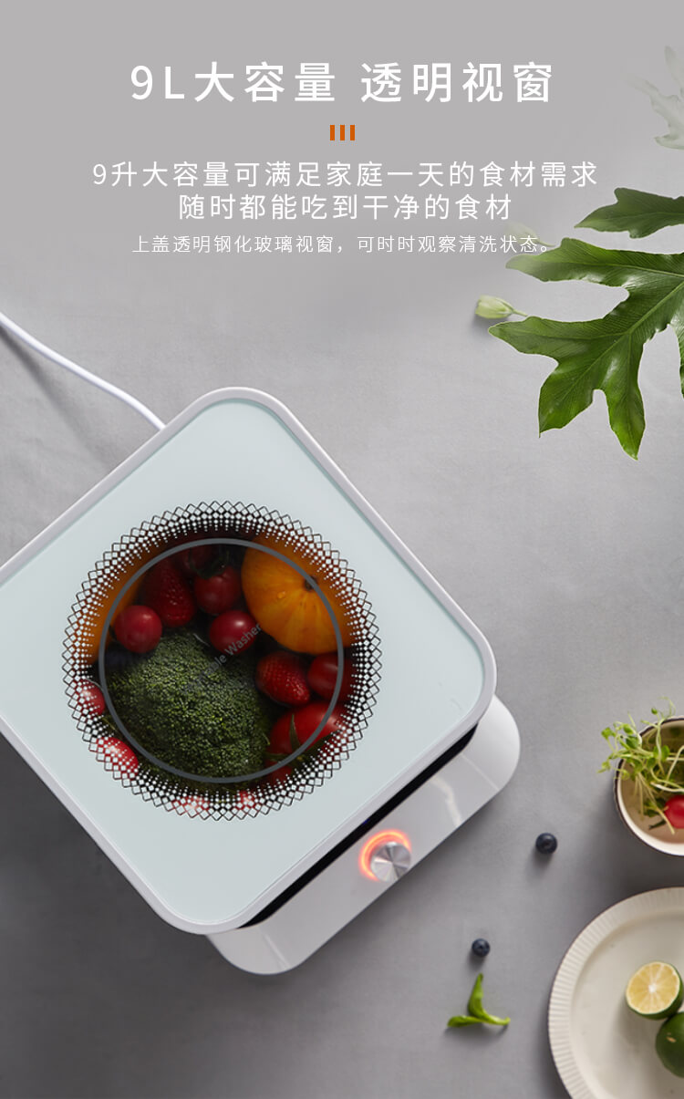 果蔬凈化清洗機_10