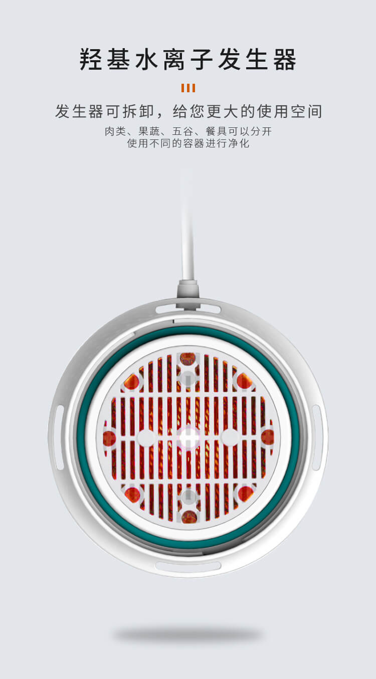 果蔬凈化清洗機_11